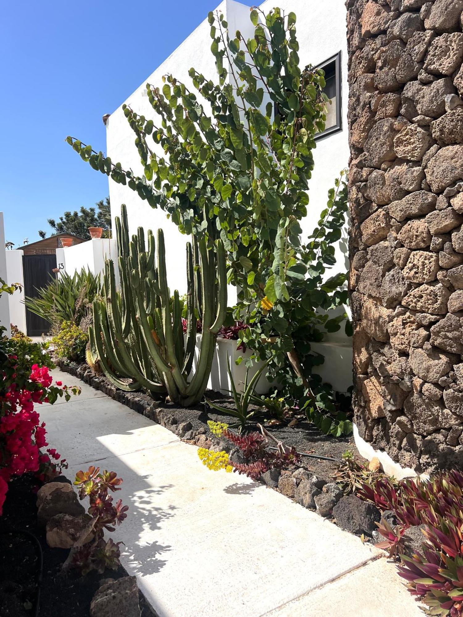 Вілла Oasis En Lanzarote Коста-Тегісе Екстер'єр фото