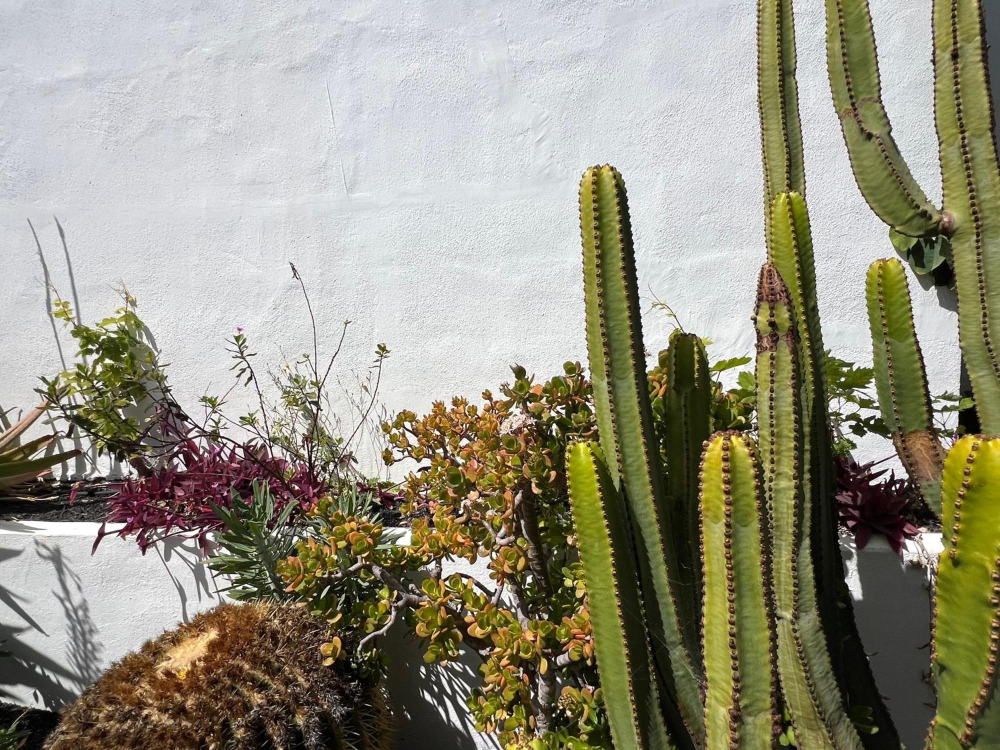 Вілла Oasis En Lanzarote Коста-Тегісе Екстер'єр фото