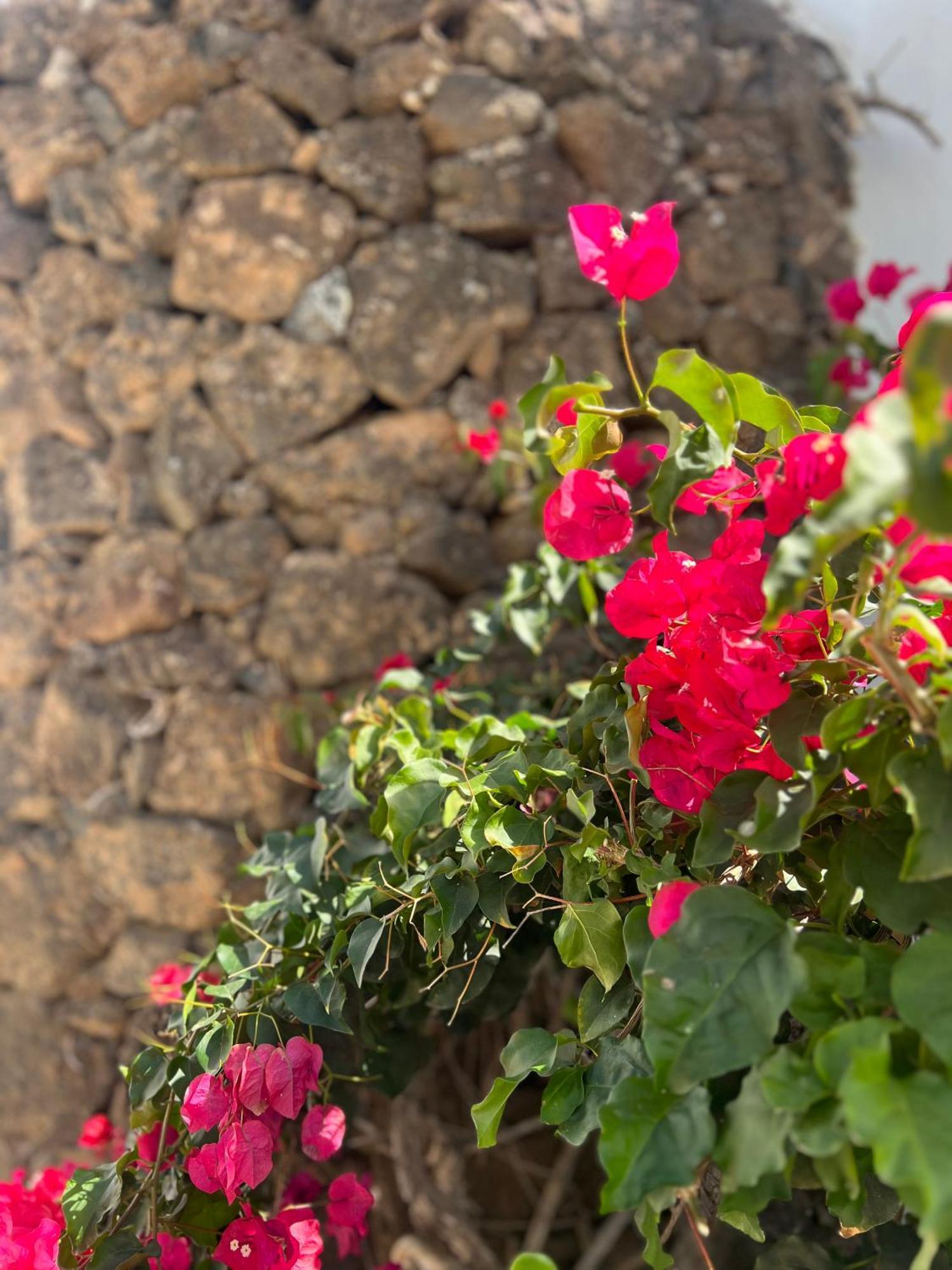 Вілла Oasis En Lanzarote Коста-Тегісе Екстер'єр фото